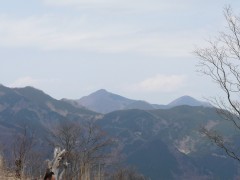 大持山、武川岳